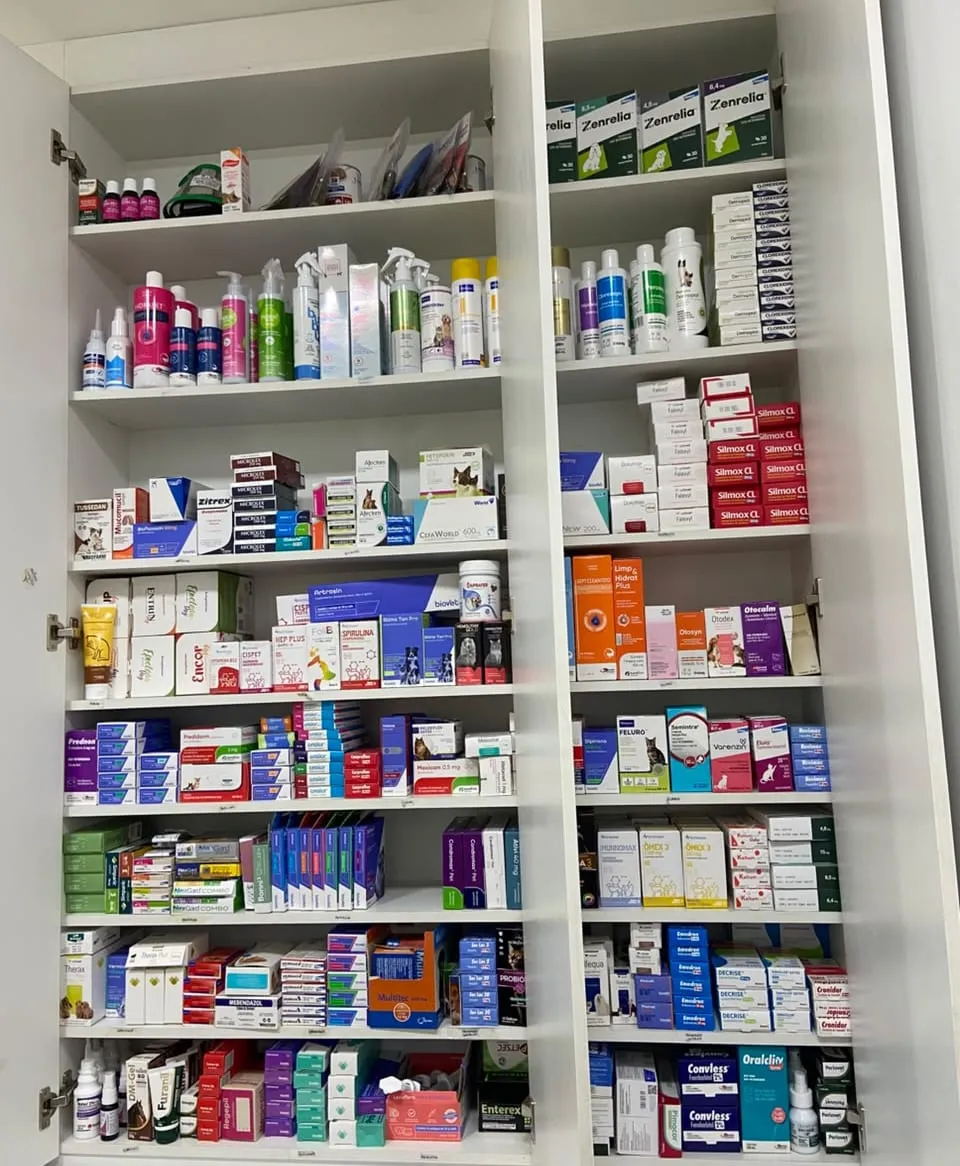 Prateleiras da farmácia da clínica, cheias de caixas e frascos de medicamentos veterinários
