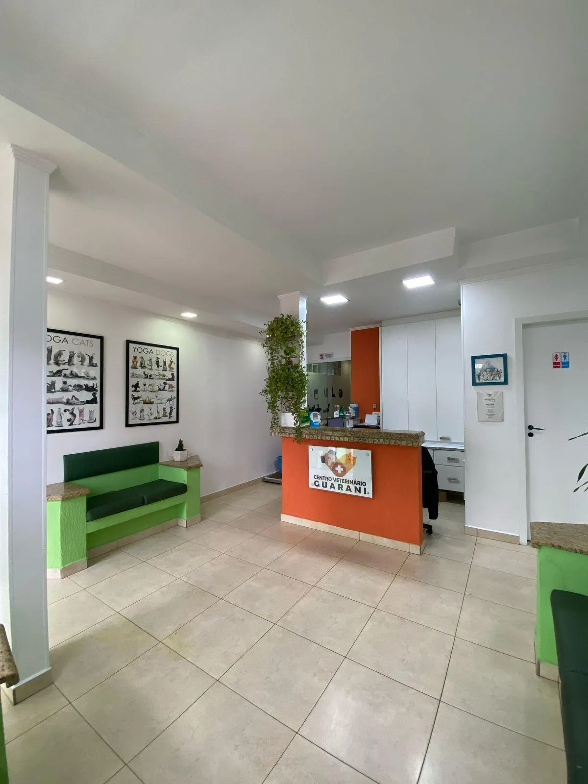 Sala de espera climatizada para cães, com bancos verdes e balcão laranja