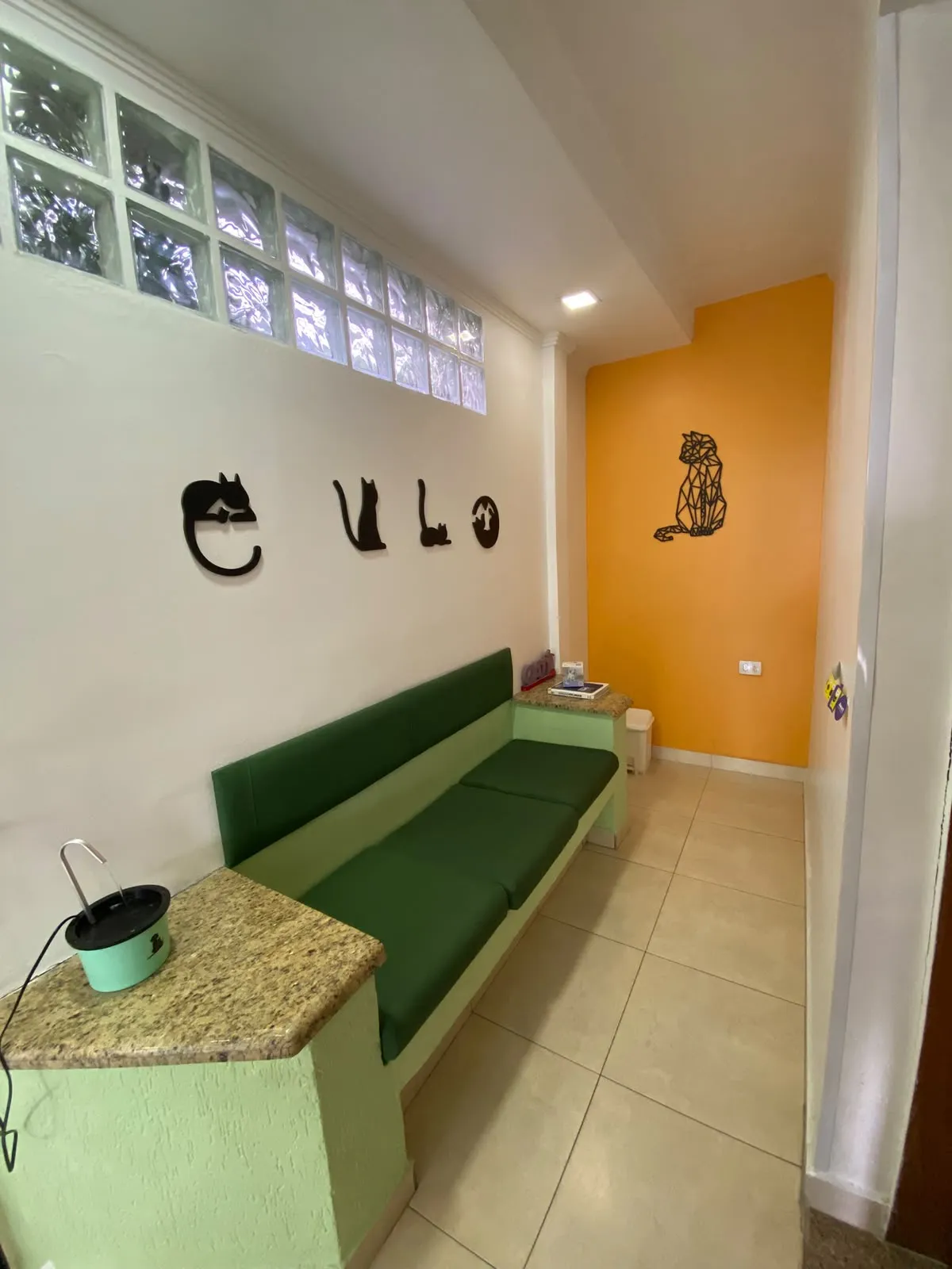 Sala de espera exclusiva para felinos, com banco verde e silhuetas de gatos na parede